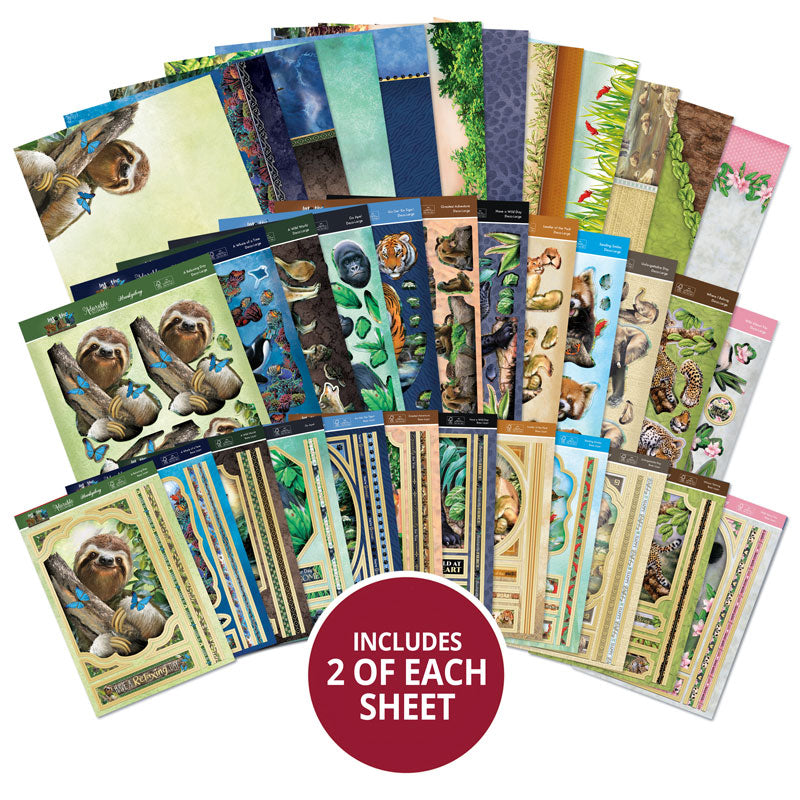 Into The Wild Designer Deco-Large Collection-1