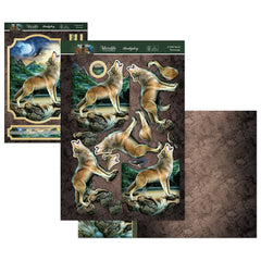 Into The Wild Deco-Large Set - A Wild World-1