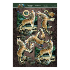 Into The Wild Deco-Large Set - A Wild World-3