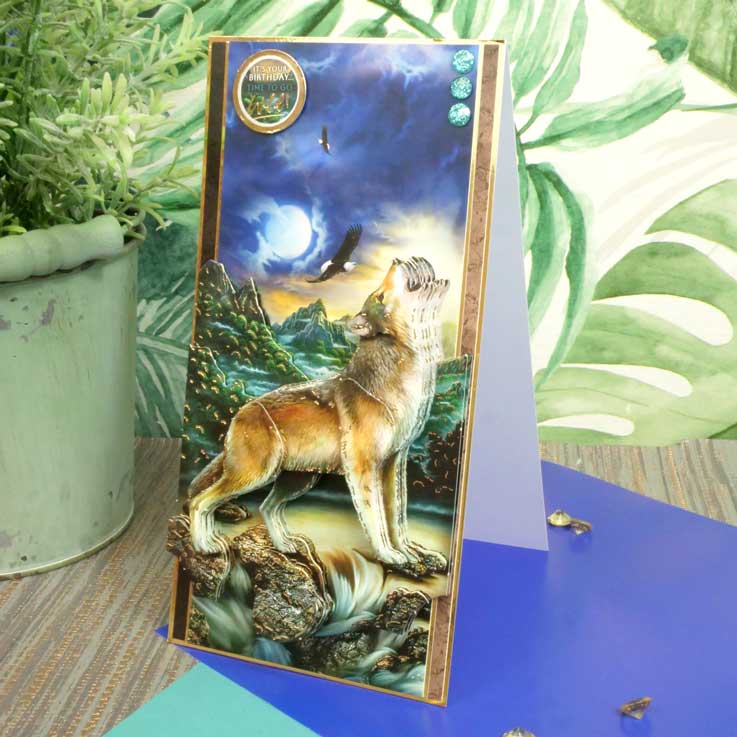 Into The Wild Deco-Large Set - A Wild World-5