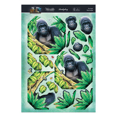 Into The Wild Deco-Large Set - Go Ape-3