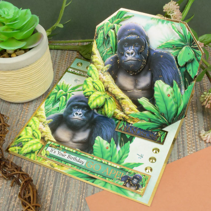 Into The Wild Deco-Large Set - Go Ape-5