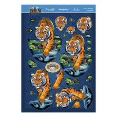 Into The Wild Deco-Large Set - Go Get 'Em Tiger!-3