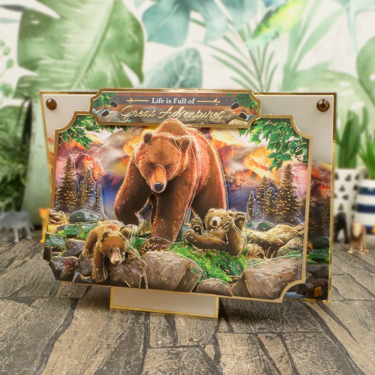 Into The Wild Designer Deco-Large Collection-7