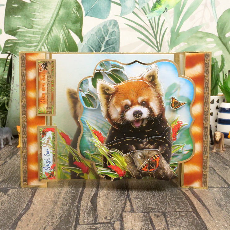 Into The Wild Designer Deco-Large Collection-10