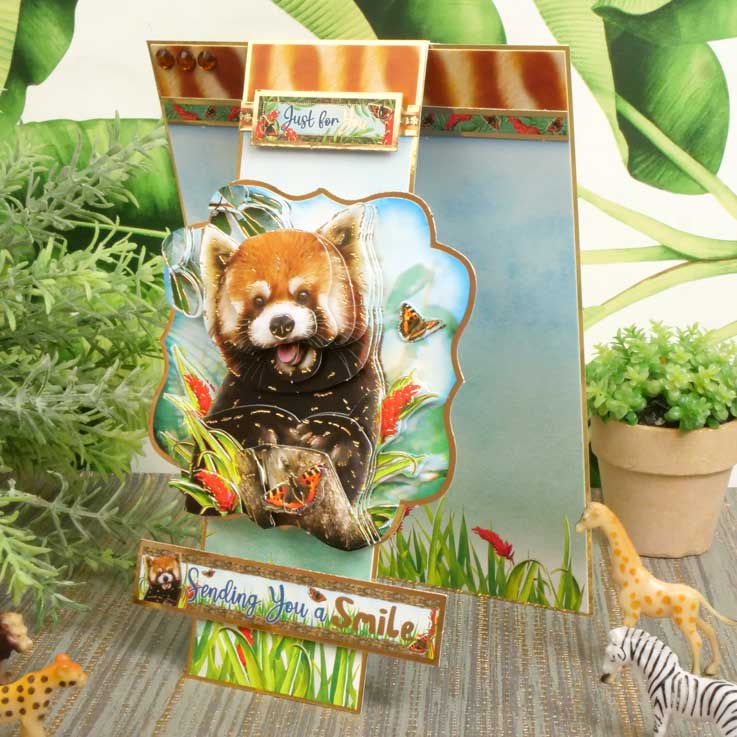 Into The Wild Deco-Large Set - Sending Smiles-5
