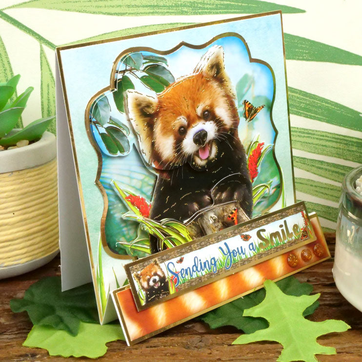 Into The Wild Deco-Large Set - Sending Smiles-7