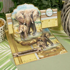 Set de Deco-Large Into The Wild - Día Inolvidable-9
