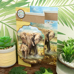 Set de Deco-Large Into The Wild - Día Inolvidable-5