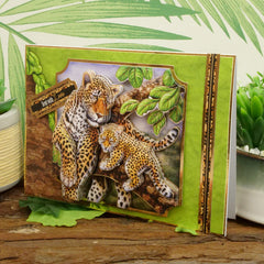 Into The Wild Deco-Large Set - Where I Belong-7