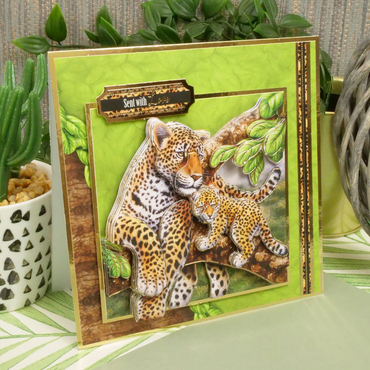 Into The Wild Designer Deco-Large Collection-12