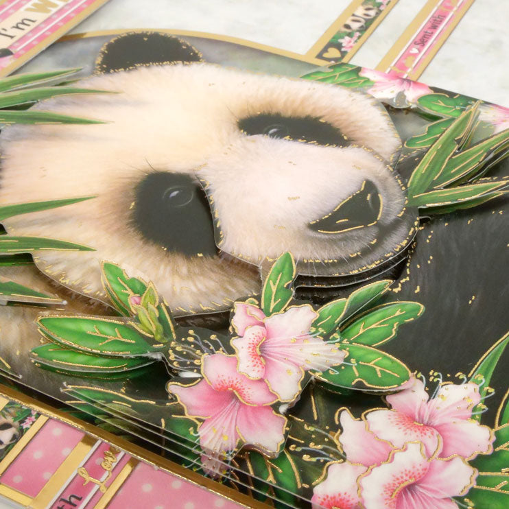 Into The Wild Deco-Large Set - Wild About You-5