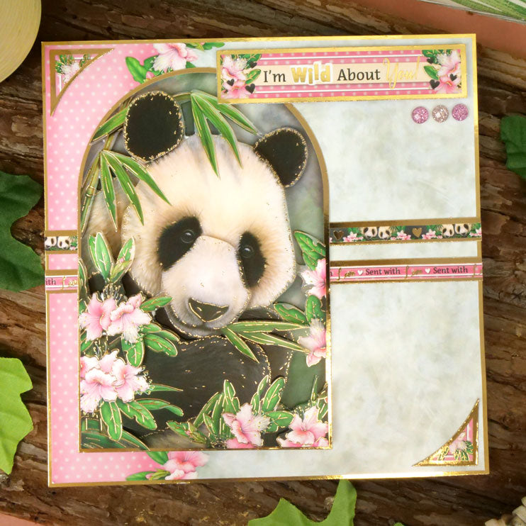 Into The Wild Deco-Large Set - Wild About You-6