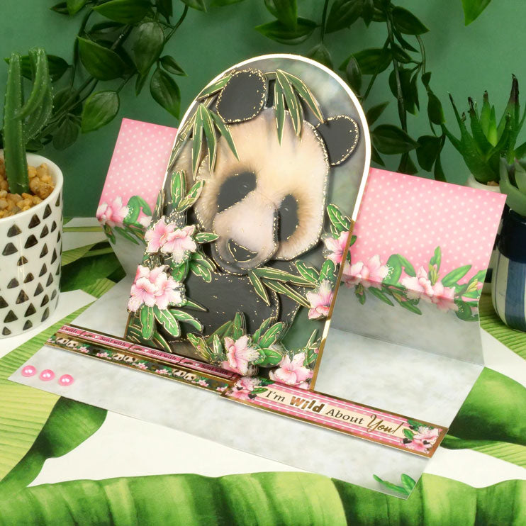 Into The Wild Deco-Large Set - Wild About You-7