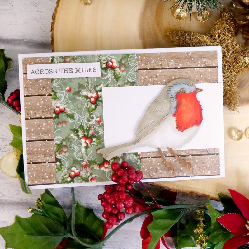 Winter Robins Luxury Inserts & Papers-2