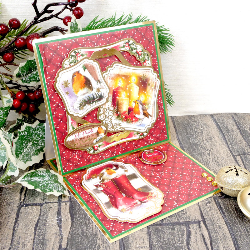 Winter Robins Luxury Inserts & Papers-3