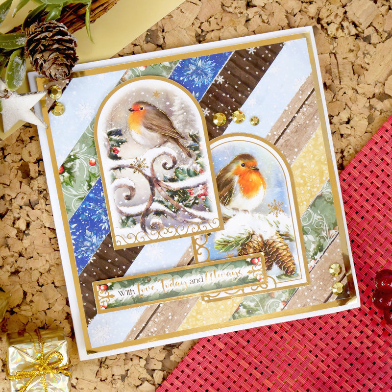 Winter Robins Luxury Inserts & Papers-4
