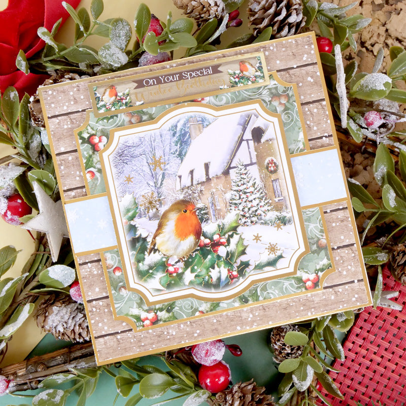 Winter Robins Luxury Inserts & Papers-6