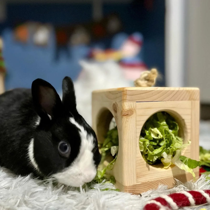 Small Animal Hay Cube-1