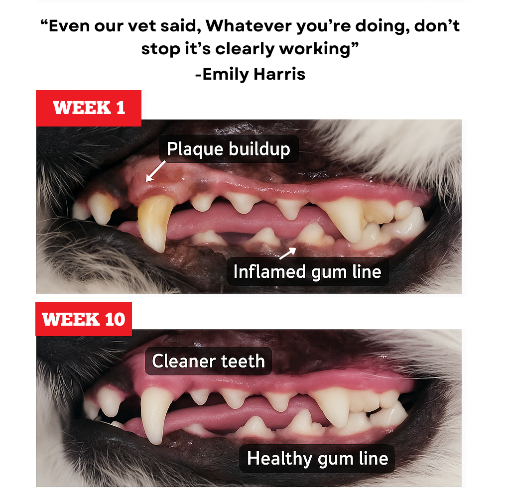Himalayan Yak Chew (MEGA)-16