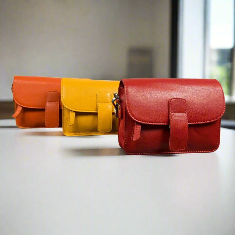 Greenwood Leather Mini Crossbody Bag-1