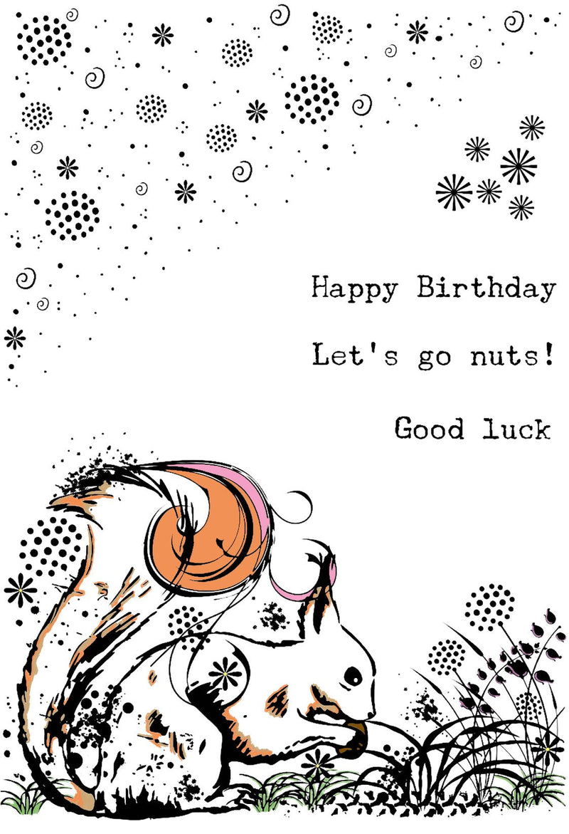 Creative Expressions Designer Boutique Woodland Walk Collection Sammy Squirrel A6 Clear Stamp Set-4