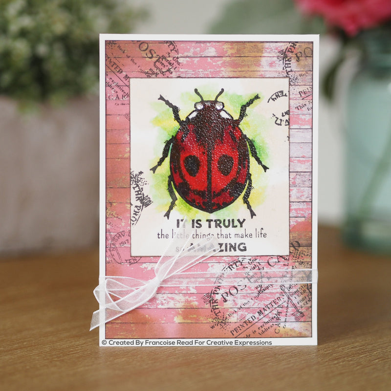 Woodware Clear Singles Little Ladybird-3
