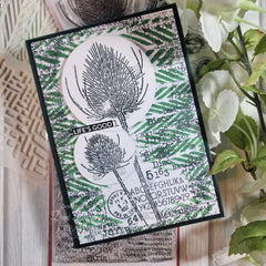 Woodware Pampa 6 in x 6 in Stencil-4