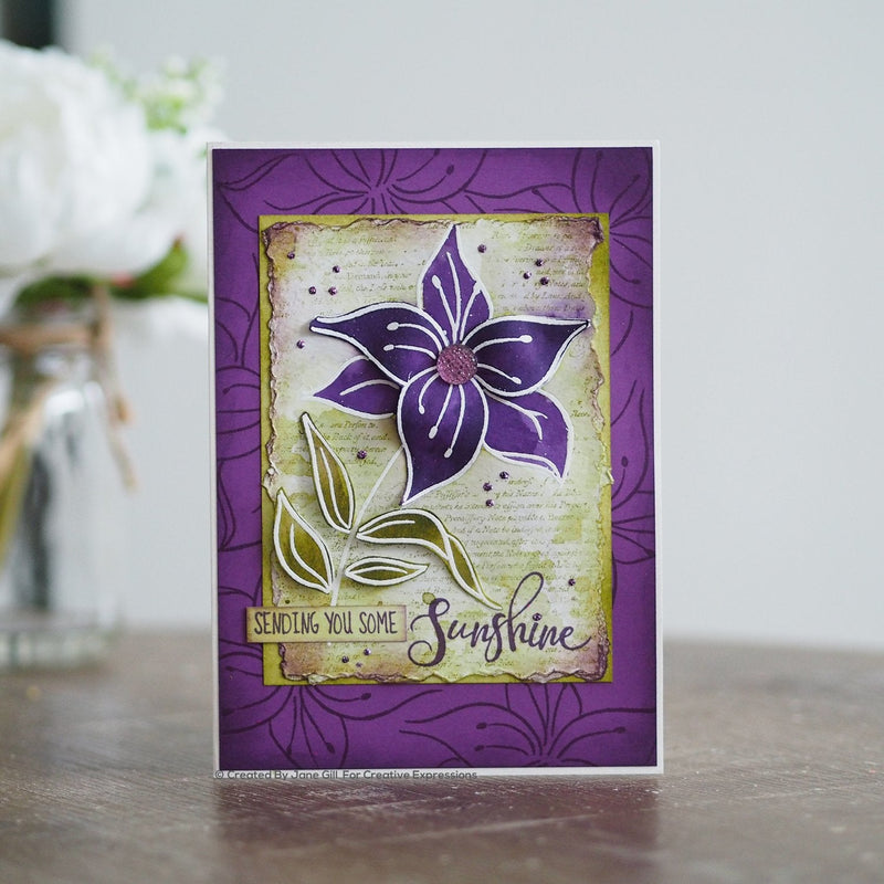 Woodware Clear Singles Lily Sketch 4 in x 6 in Stamp-2