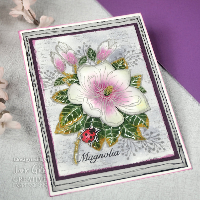 Woodware Clear Singles Magnolia 4 in x 6 in Stamp-3