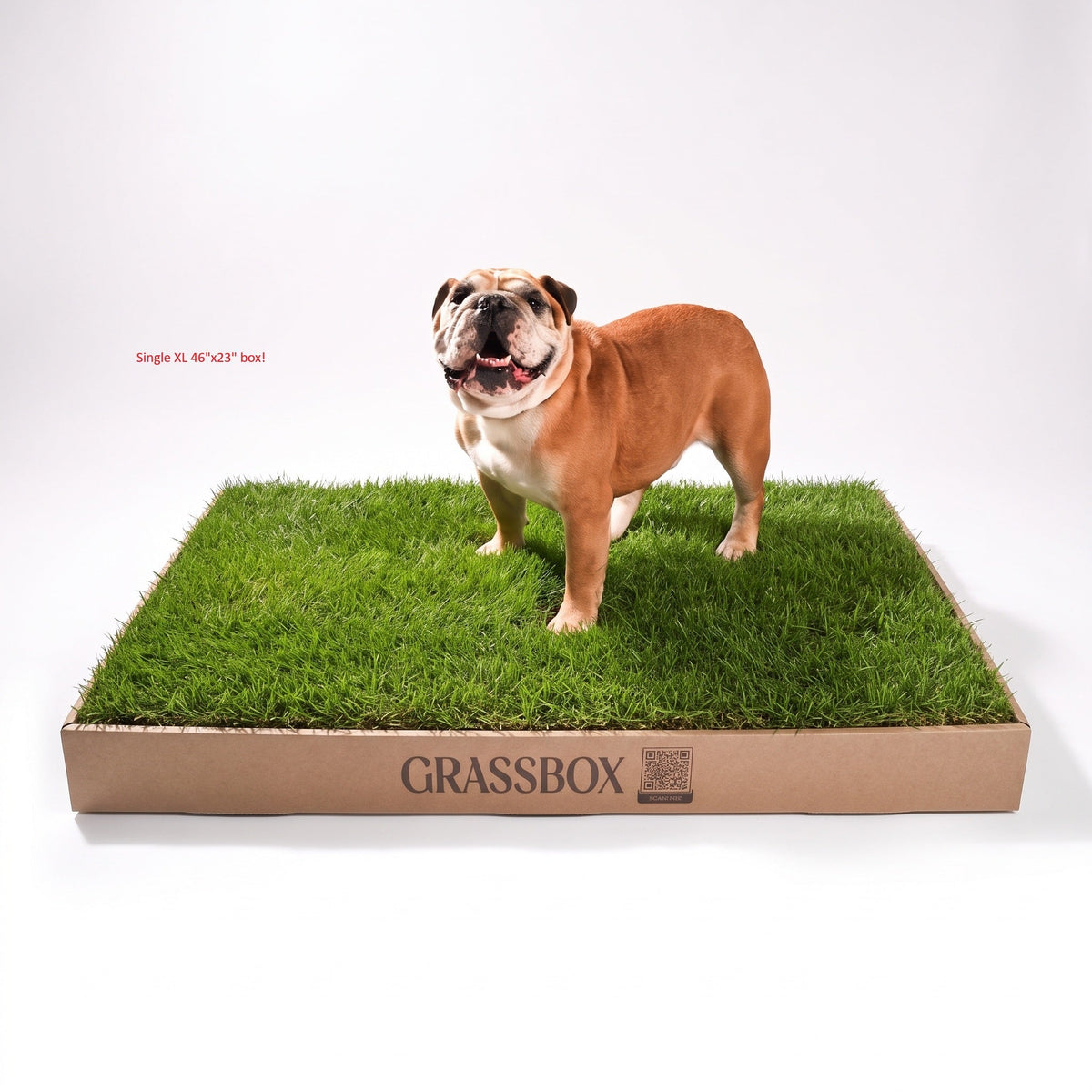 Real GrassBox-8