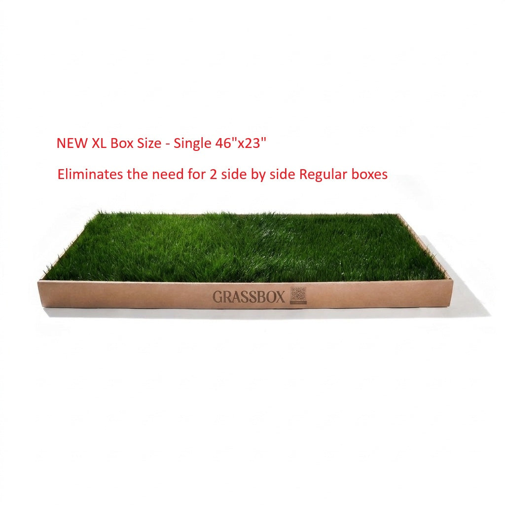 Real GrassBox-7