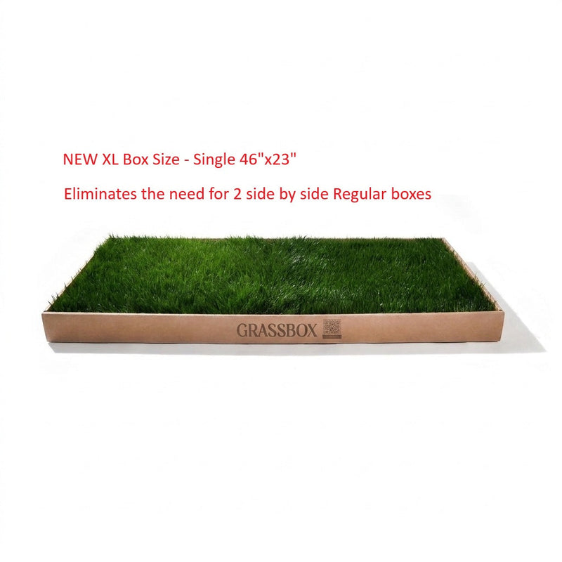 Real GrassBox-7