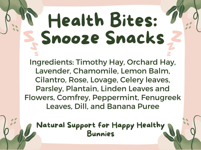 Health Bites: Snooze Snacks-1