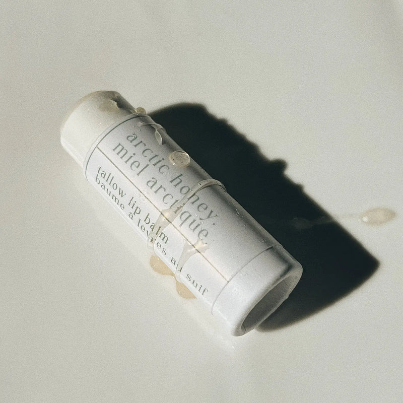 Arctic Honey Tallow Lip Balm | Genesis Tallow-1