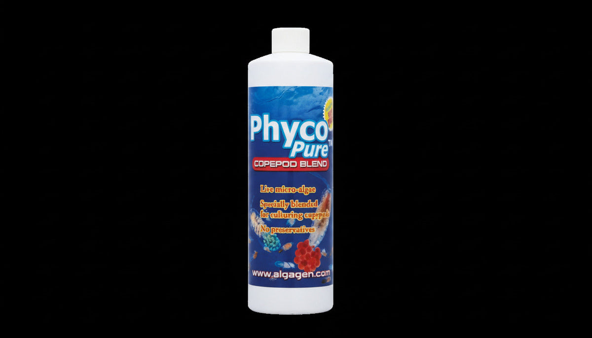AlgaGen PhycoPure Copepod Blend 8 oz-1