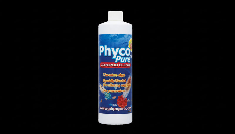 AlgaGen PhycoPure Copepod Blend 8 oz-1