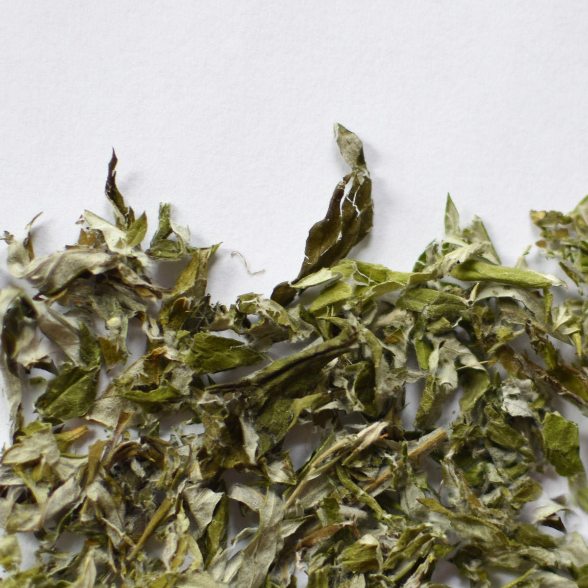 Mugwort | Dried Whole Leaf (Artemisia vulgaris)-1