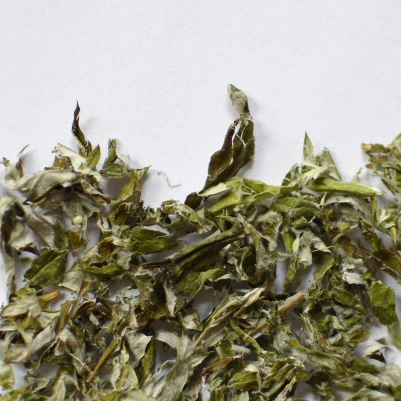 Mugwort | Dried Whole Leaf (Artemisia vulgaris)-1