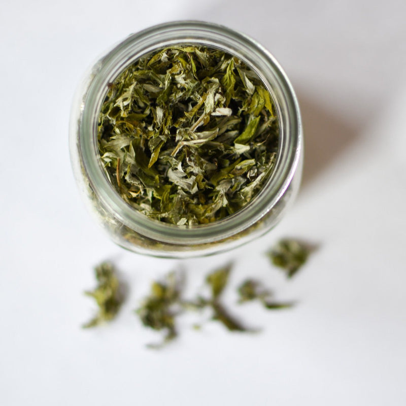 Mugwort | Dried Whole Leaf (Artemisia vulgaris)-2