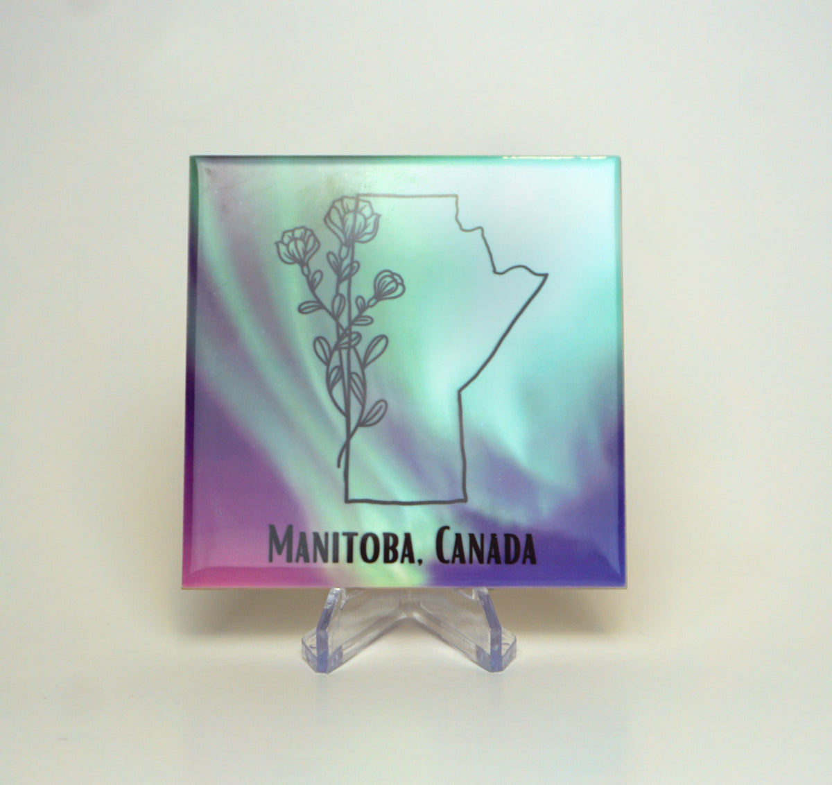 Manitoba Aurora Coaster-2
