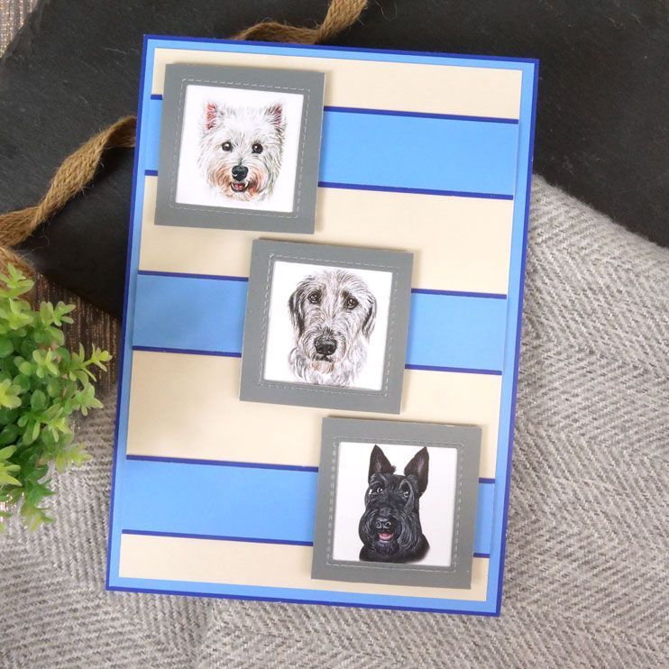 Pawsome Portraits Adorable Scorable Selection-2