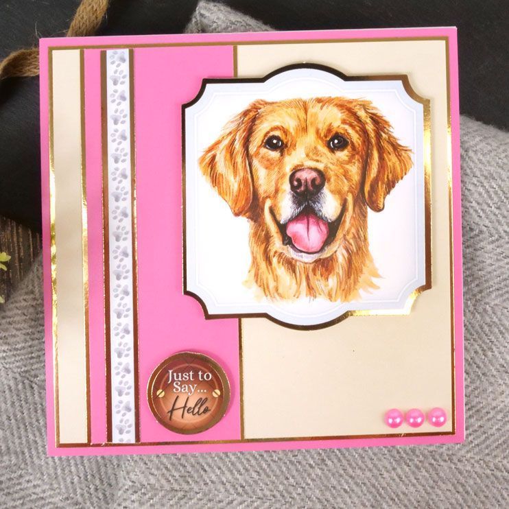 Pawsome Portraits Adorable Scorable Selection-4