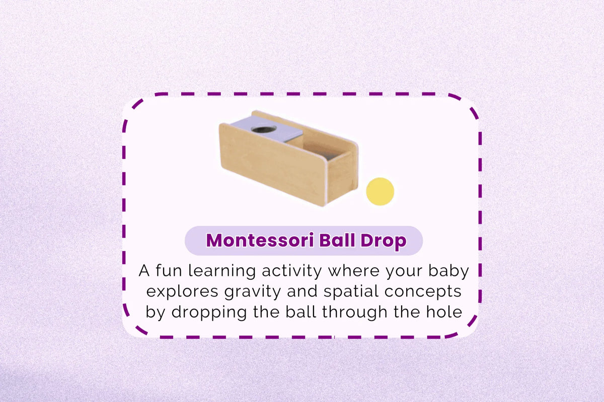 123 Baby Box Montessori Educational Box - Ages 11–12 Months-4