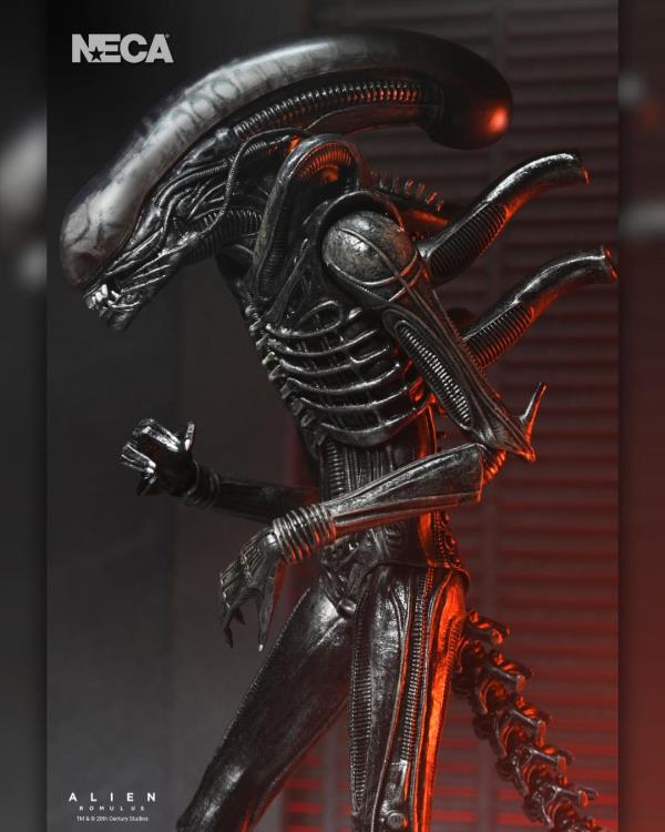 Alien: Romulus Ultimate Xenomorph XX121-7