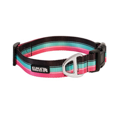 Backtrack Dog Collar-1