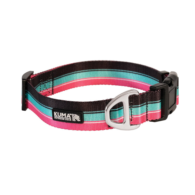 Backtrack Dog Collar-1