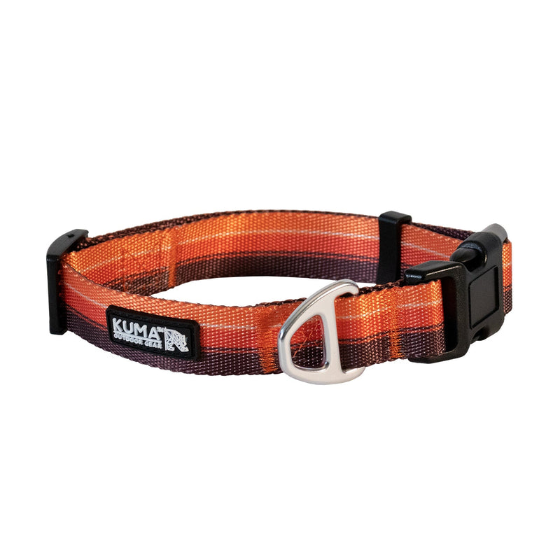 Backtrack Dog Collar-4
