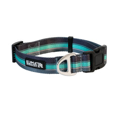 Backtrack Dog Collar-3