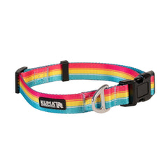 Backtrack Dog Collar-2